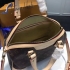 Louis Vuitton Bag 096